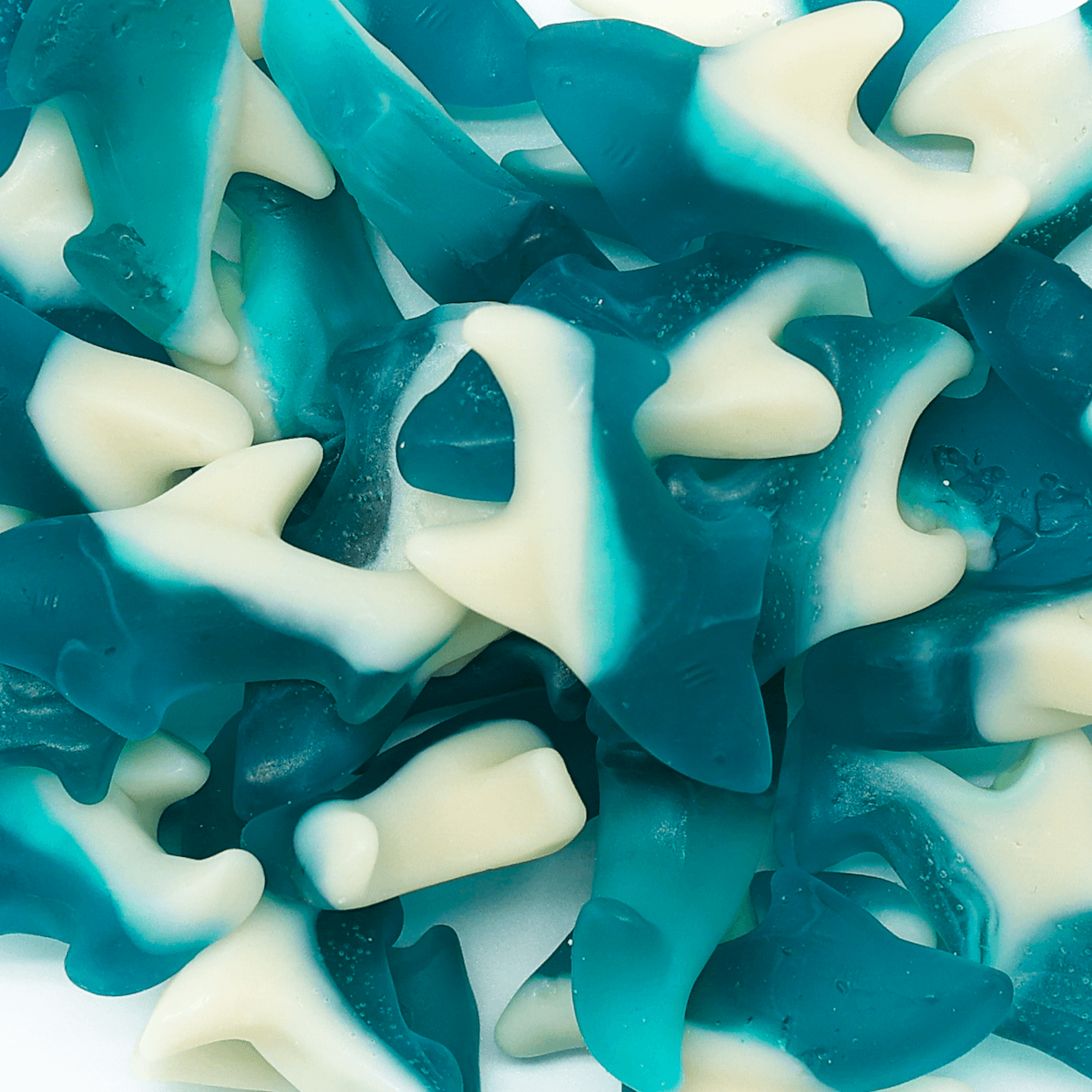 Gummi Sharks - alternate view